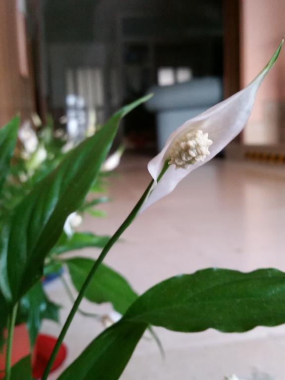 Sirio 3* Reggio Calabria